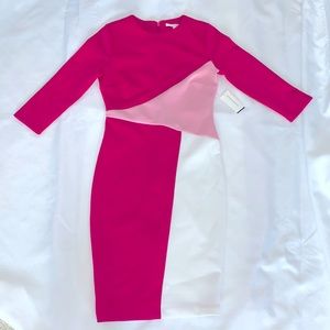 Pink and white Alexia Admore Dress